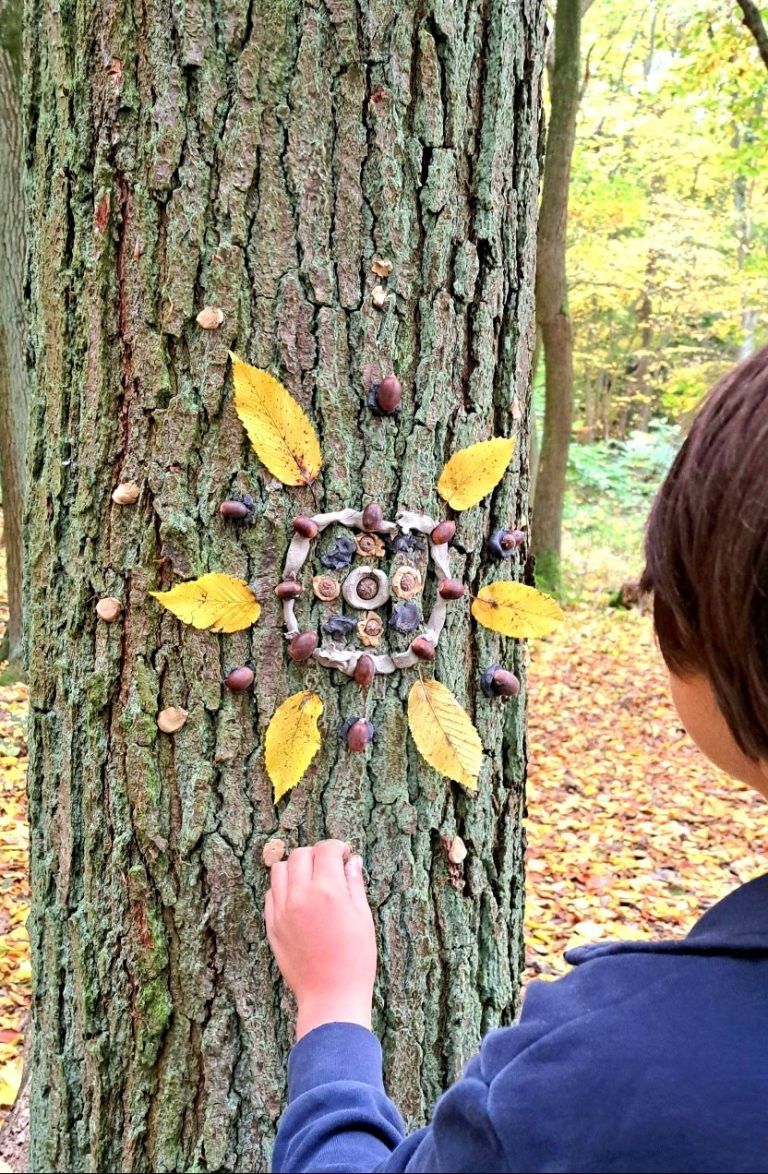 Eine Person arrangiert Blätter und Nüsse an einem Baumstamm im Wald.