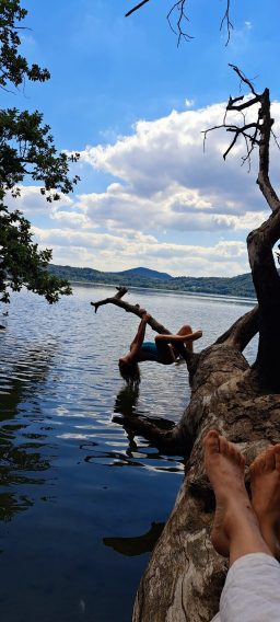 Person sitzt auf einem Baumstamm am Wasser, umgeben von Bäumen und Bergen.