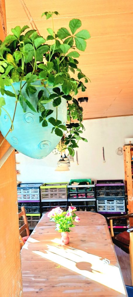 Grüne Pflanzen hängen über einem Tisch mit einem blühenden Topf und Regalen im Hintergrund.